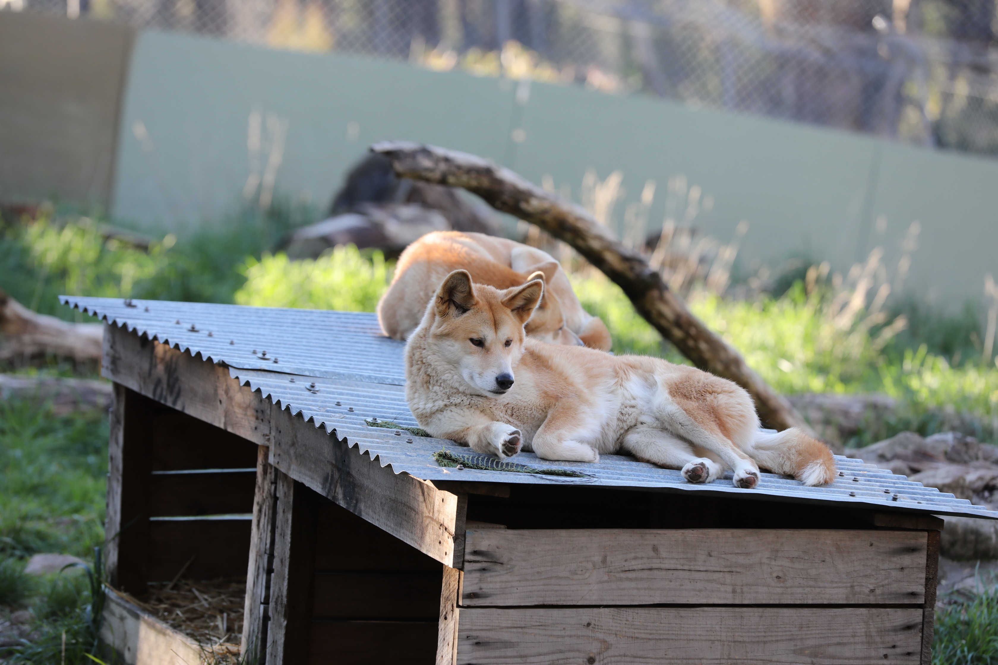 2019 07 19 15 52 52 Canon EOS 5D Mark IV 0051